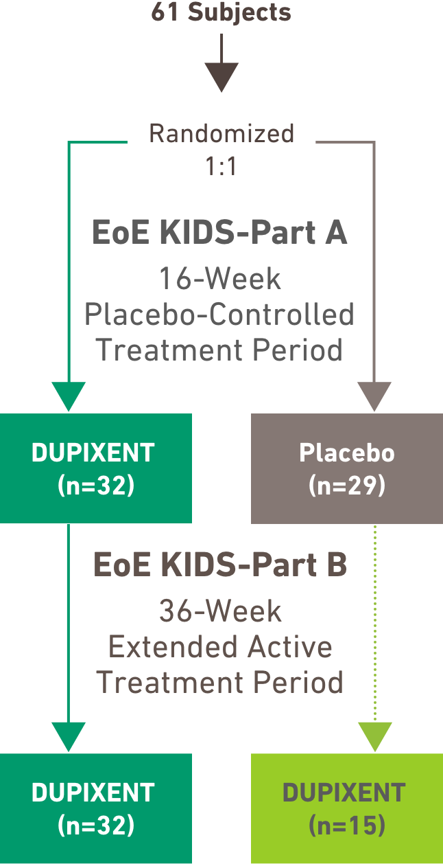 Part A 24-Week Placebo-Controlled Treatment Period